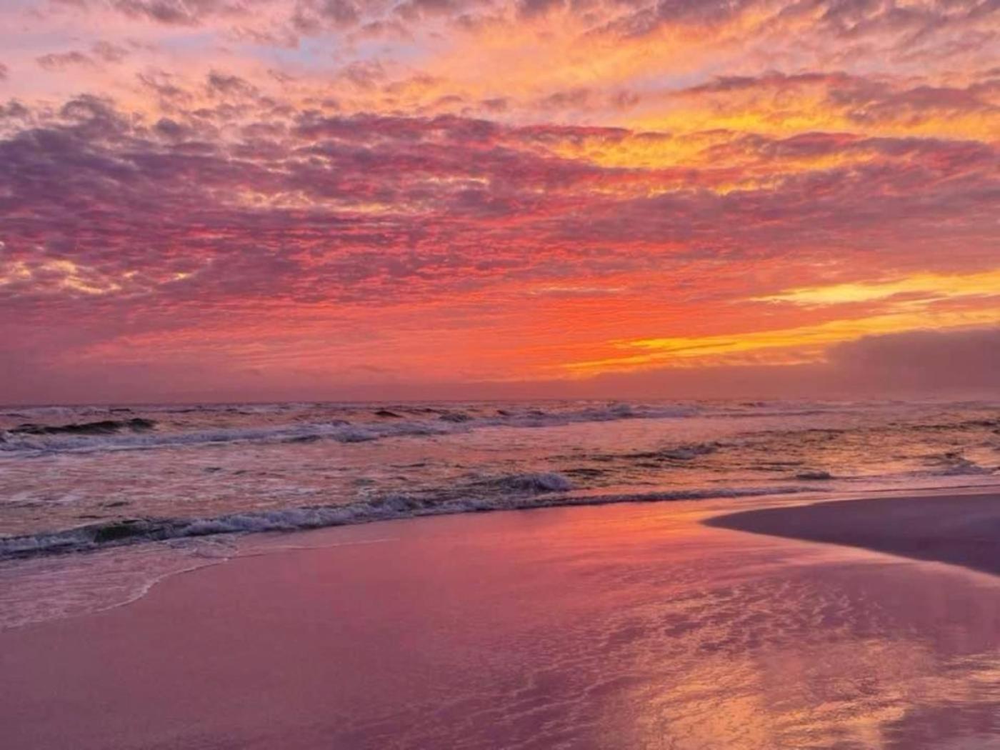 5 Star Resort 11Th Fl Stunning Sunrise 2Br 2Ba King Suite,Pools ,Shuttle Or Walk To Beach Destin Exterior foto